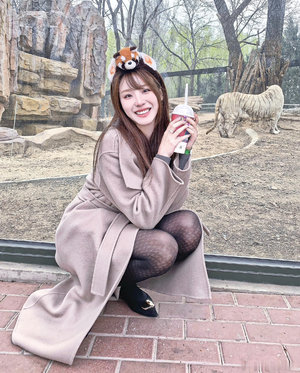 朝鲜哺乳电视剧