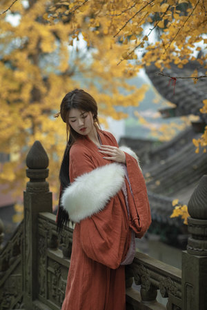 福利片+经典片+写真片