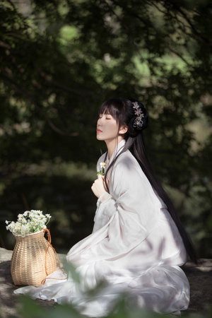 3344高清免费视频