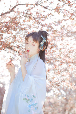 驻站电视剧一共多少集