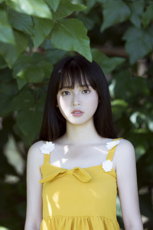 米雅的精灵王国全集