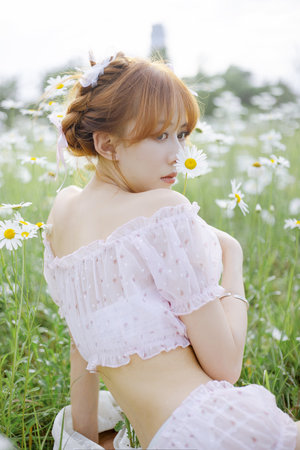 成人短视频合集下载安装