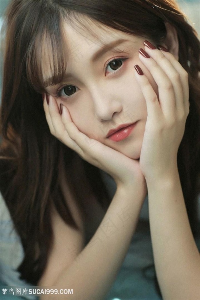 月光宝盒免费全部