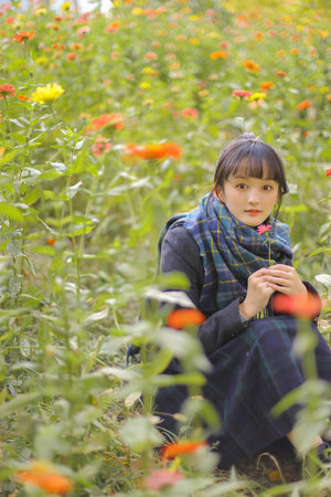 伦理电影在线播放